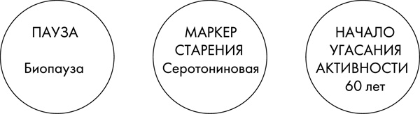 Иллюстрация к книге — Стоп старение. Как вернуть молодость, здоровье и жизненные силы [i_022.jpg]
