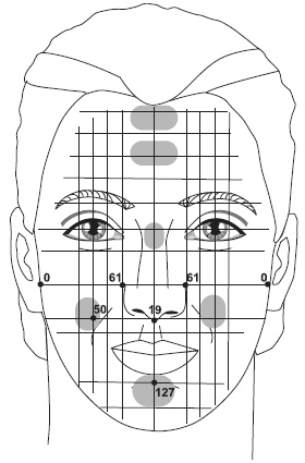Иллюстрация к книге — Точки болезни и здоровья на вашем лице [autogen_ebook_id16.jpg]