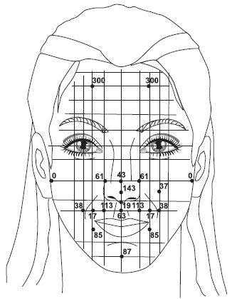 Иллюстрация к книге — Точки болезни и здоровья на вашем лице [autogen_ebook_id19.jpg]