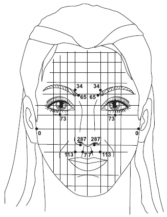 Иллюстрация к книге — Точки болезни и здоровья на вашем лице [autogen_ebook_id20.jpg]