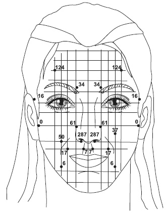Иллюстрация к книге — Точки болезни и здоровья на вашем лице [autogen_ebook_id21.jpg]