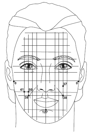Иллюстрация к книге — Точки болезни и здоровья на вашем лице [autogen_ebook_id22.jpg]