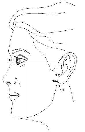 Иллюстрация к книге — Точки болезни и здоровья на вашем лице [autogen_ebook_id30.jpg]