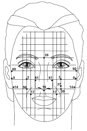 Иллюстрация к книге — Точки болезни и здоровья на вашем лице [autogen_ebook_id32.jpg]