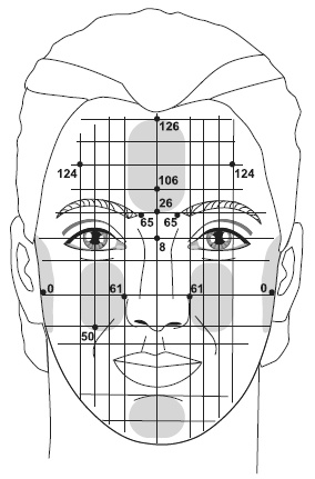 Иллюстрация к книге — Точки болезни и здоровья на вашем лице [autogen_ebook_id36.jpg]