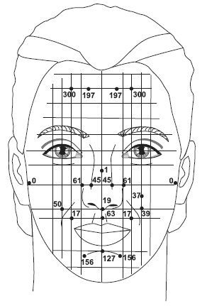 Иллюстрация к книге — Точки болезни и здоровья на вашем лице [autogen_ebook_id40.jpg]