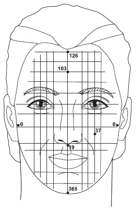 Иллюстрация к книге — Точки болезни и здоровья на вашем лице [autogen_ebook_id53.jpg]