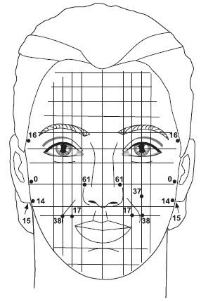 Иллюстрация к книге — Точки болезни и здоровья на вашем лице [autogen_ebook_id60.jpg]