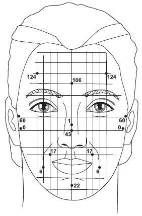 Иллюстрация к книге — Точки болезни и здоровья на вашем лице [autogen_ebook_id63.jpg]