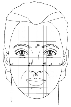 Иллюстрация к книге — Точки болезни и здоровья на вашем лице [autogen_ebook_id76.jpg]
