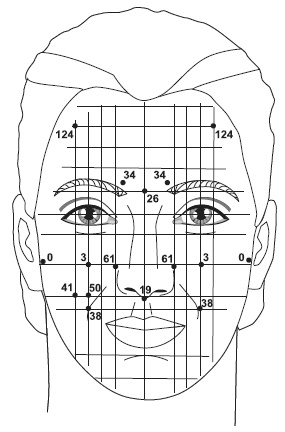 Иллюстрация к книге — Точки болезни и здоровья на вашем лице [autogen_ebook_id80.jpg]