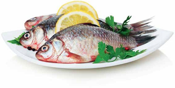 Иллюстрация к книге — Кулинарная энциклопедия. Том 11. К (Капиротада – Кашкавал) [_30.jpg]