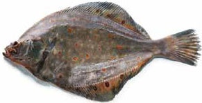 Иллюстрация к книге — Кулинарная энциклопедия. Том 10. И-К (Испанская кухня – Каперсы) [_77.jpg]