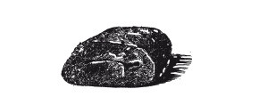 Иллюстрация к книге — Практические основы кулинарного искусства [i_020.jpg]