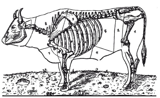 Иллюстрация к книге — Практические основы кулинарного искусства [i_093.jpg]