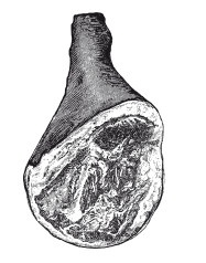 Иллюстрация к книге — Практические основы кулинарного искусства [i_114.jpg]