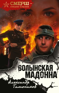 Книга Волынская мадонна Книга Волынская мадонна