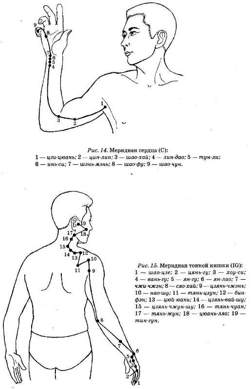 Иллюстрация к книге — Энциклопедия целебного чая [i_018.jpg]