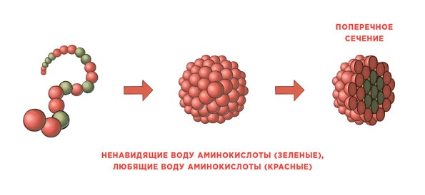 Иллюстрация к книге — Ингредиенты. Химия и алхимия гастрономического творчества [i_089.jpg]