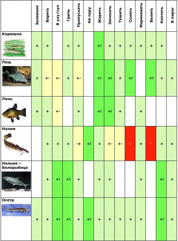 Иллюстрация к книге — Готовим рыбу [i_004.jpg]