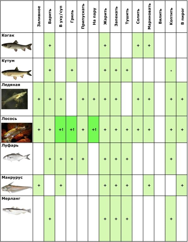 Иллюстрация к книге — Готовим рыбу [i_010.jpg]