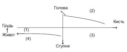 Иллюстрация к книге — Оздоровительные упражнения Древнего Китая [i_002.jpg]