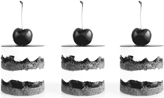 Иллюстрация к книге — Готовим по рецептам Е. Молоховец [autogen_ebook_id10.jpg]