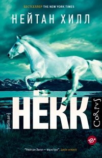 Книга Нёкк Книга Нёкк