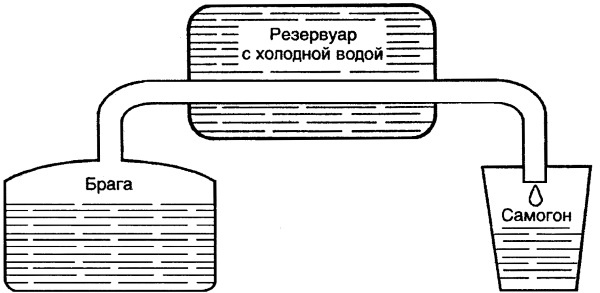 Иллюстрация к книге — Вино, настойки, ликеры [i_007.jpg]