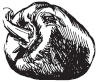 Иллюстрация к книге — Блюда на каждый день в мультиварке [autogen_ebook_id1.jpg]