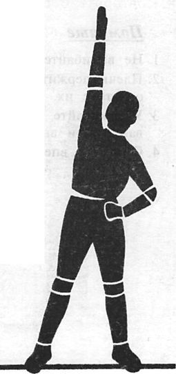 Иллюстрация к книге — Здоровая спина за 10 минут в день [i_006.jpg]