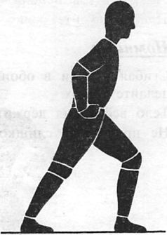 Иллюстрация к книге — Здоровая спина за 10 минут в день [i_011.jpg]