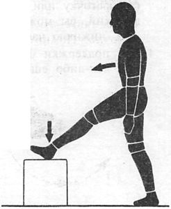 Иллюстрация к книге — Здоровая спина за 10 минут в день [i_021.jpg]