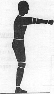 Иллюстрация к книге — Здоровая спина за 10 минут в день [i_022.jpg]