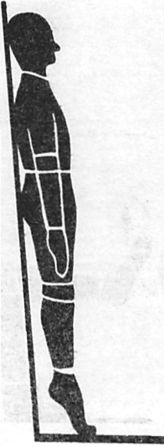 Иллюстрация к книге — Здоровая спина за 10 минут в день [i_028.jpg]