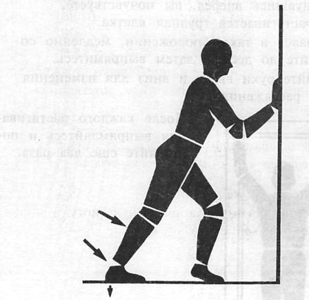 Иллюстрация к книге — Здоровая спина за 10 минут в день [i_032.jpg]