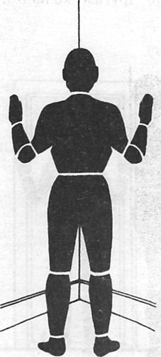 Иллюстрация к книге — Здоровая спина за 10 минут в день [i_035.jpg]