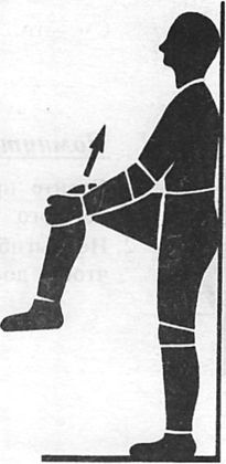 Иллюстрация к книге — Здоровая спина за 10 минут в день [i_036.jpg]