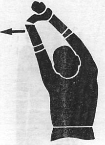 Иллюстрация к книге — Здоровая спина за 10 минут в день [i_053.jpg]