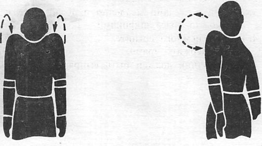 Иллюстрация к книге — Здоровая спина за 10 минут в день [i_054.jpg]