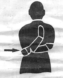 Иллюстрация к книге — Здоровая спина за 10 минут в день [i_067.jpg]