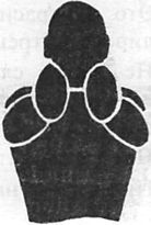 Иллюстрация к книге — Здоровая спина за 10 минут в день [i_080.jpg]