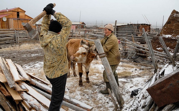 Иллюстрация к книге — Корпоративное племя. Чему антрополог может научить топ-менеджера [i_050.jpg]