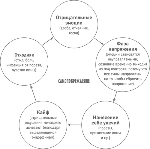 Иллюстрация к книге — Классный учитель. Как работать с трудными учениками, сложными родителями и получать удовольствие от профессии [i_128.jpg]