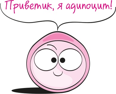 Иллюстрация к книге — Целлюлит. Циничный оберег от главного врага женщин [i_003.jpg]