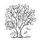 Иллюстрация к книге — Гениальность на кончиках пальцев! Развивающие пальчиковые игры для детей от 1 года до 4 лет [i_121.jpg]