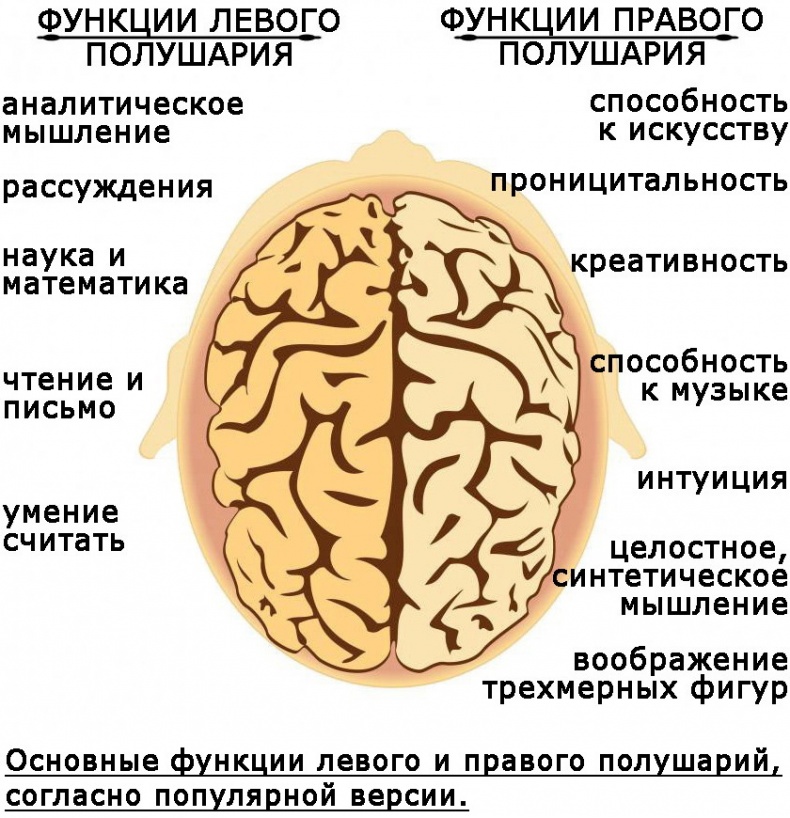 Иллюстрация к книге — Два игрока на одном поле мозга [i_015.jpg]