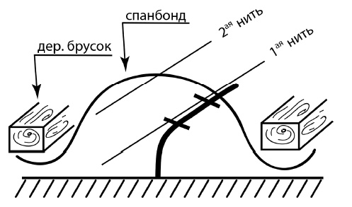 Иллюстрация к книге — Обрезка винограда. Проверенные способы формировки укрывного винограда в средней полосе России [i_012.jpg]