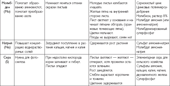 Иллюстрация к книге — Рассада. Лучше, чем у всех! Секреты, хитрости, подсказки умного садовода. Лунный календарь. Самый удобный и полезный [autogen_ebook_id16.jpg]