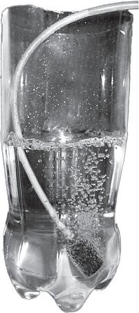 Иллюстрация к книге — Рассада. Лучше, чем у всех! Секреты, хитрости, подсказки умного садовода. Лунный календарь. Самый удобный и полезный [autogen_ebook_id19.jpg]